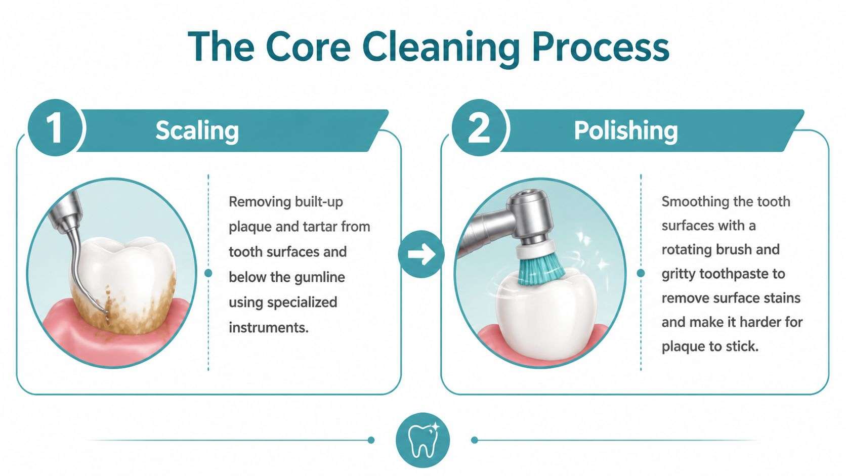 A diagram illustrating the two core dental cleaning steps: scaling to remove tartar and polishing teeth.